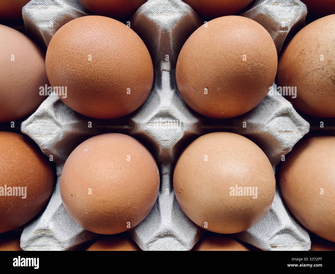 Closeup view of free range organic farm eggs in a traditional recyclable cardboard carton. Egg box details - Smartphone Captured Stock Image