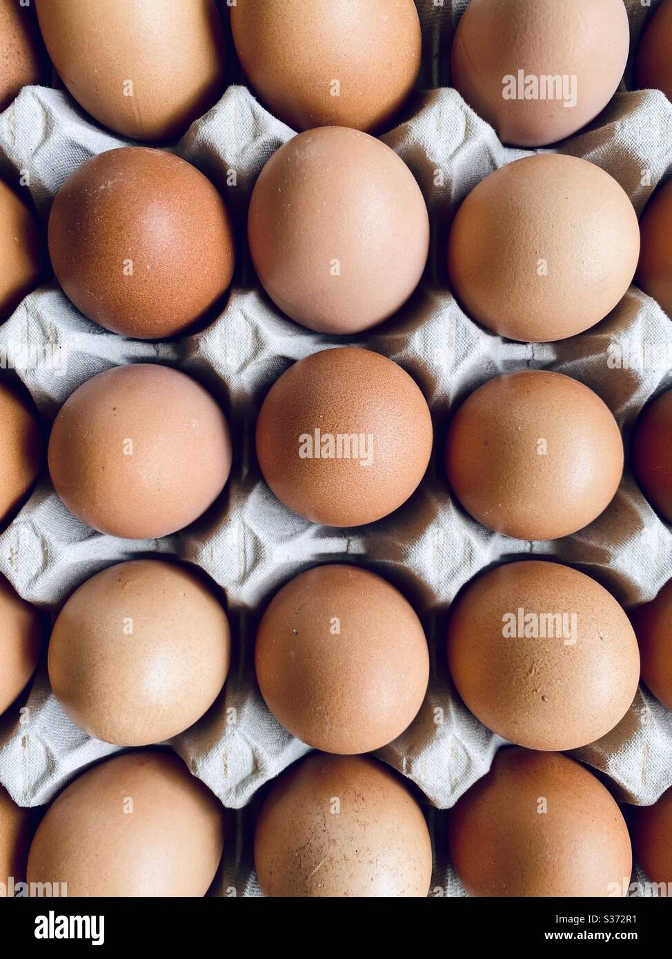 Closeup view of free range organic farm eggs in a traditional recyclable cardboard carton. Egg box details filling frame. Tray of thirty. - Smartphone Captured Stock Image
