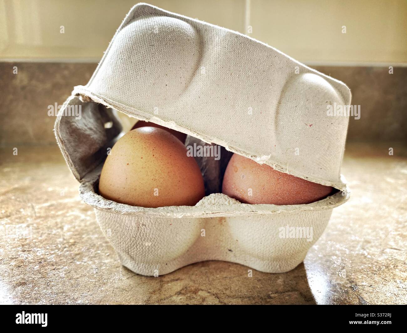 Closeup view of free range organic farm eggs in a traditional recyclable cardboard carton. Egg box details. Tray of six eggs. Half a dozen on the kitchen counter - Smartphone Captured Stock Image