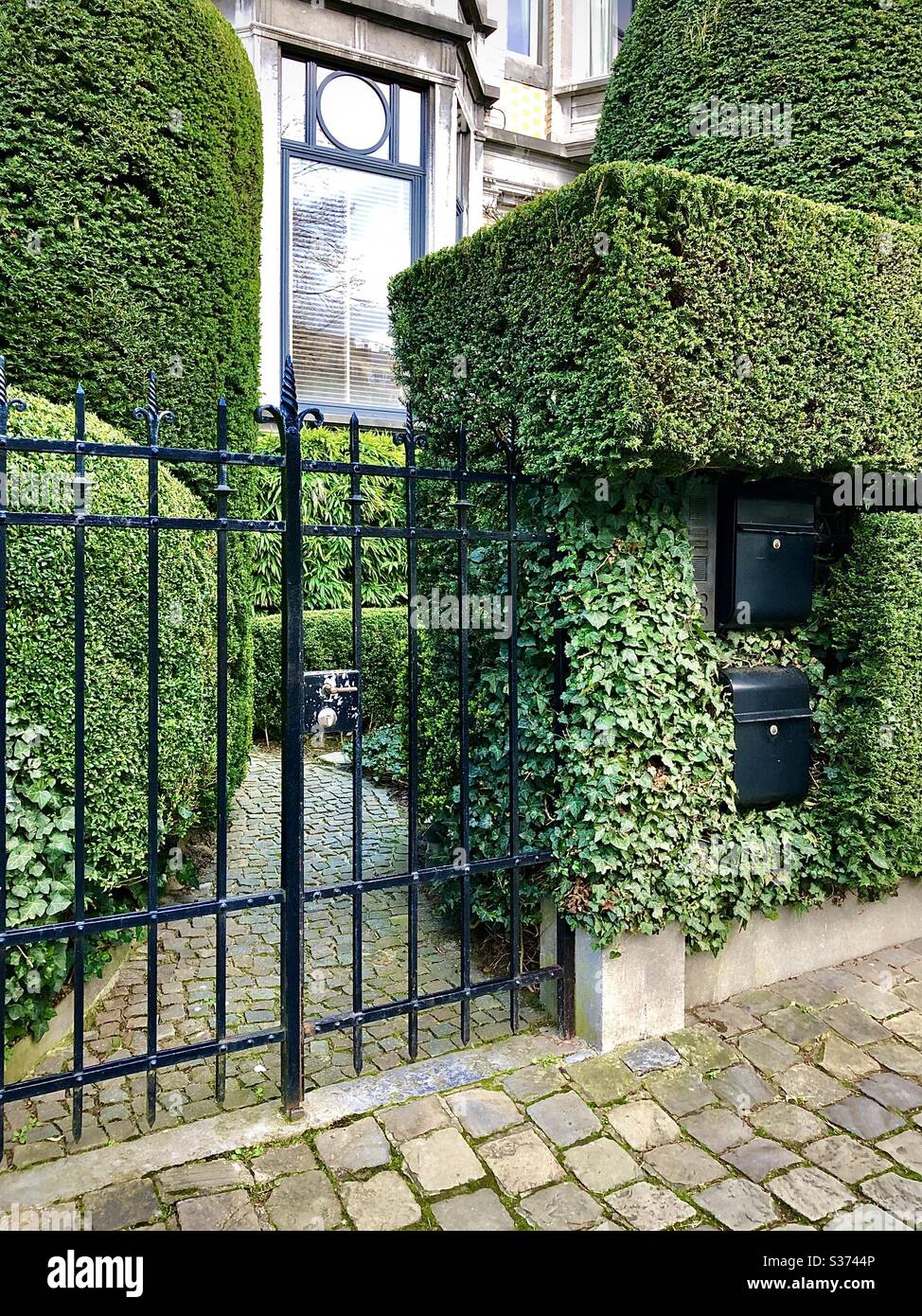 Attractive clipped box hedging fronting house in Brussels, Belgium. - Smartphone Captured Stock Image