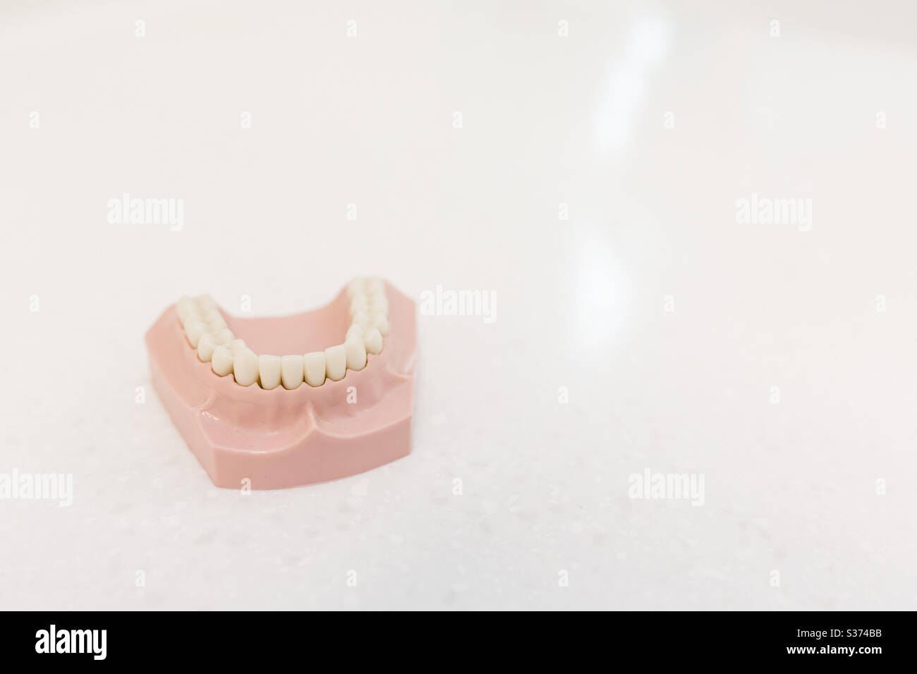Colorful Dental Braces Or Retainer On Teeth Mold, Clay Human Gums Model  Stock Photo, Picture and Royalty Free Image. Image 101857344.