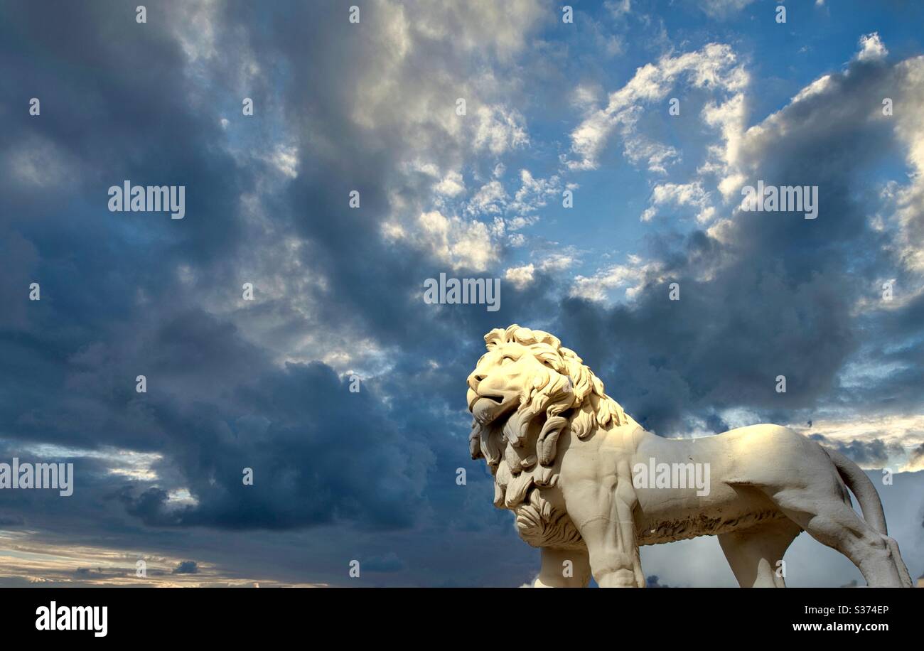 Lion with blue sky hi-res stock photography and images - Alamy