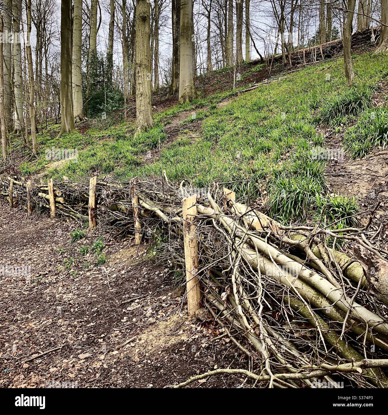 Natural fencing made from recycled tree branches and twigs. Stock Photo