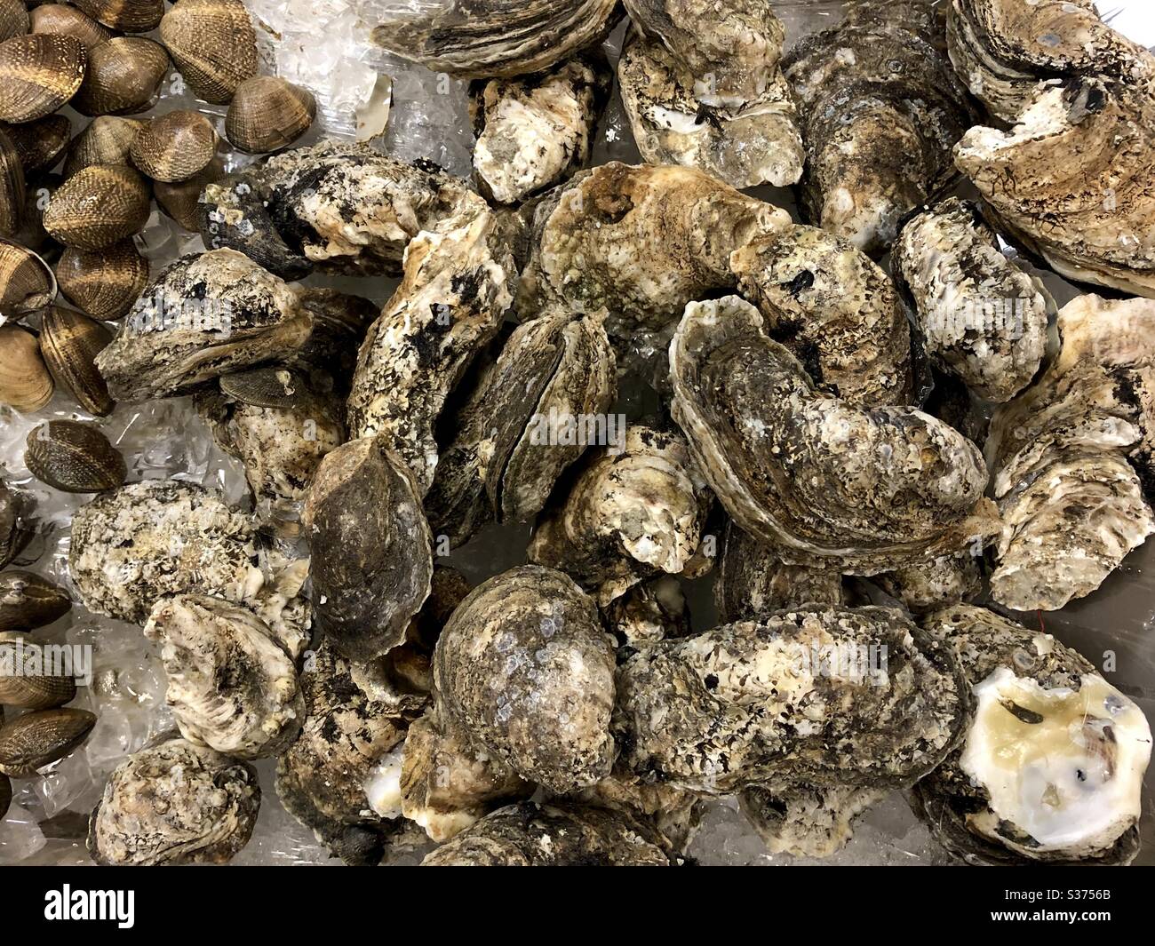 Gulf fresh seafood hires stock photography and images Alamy