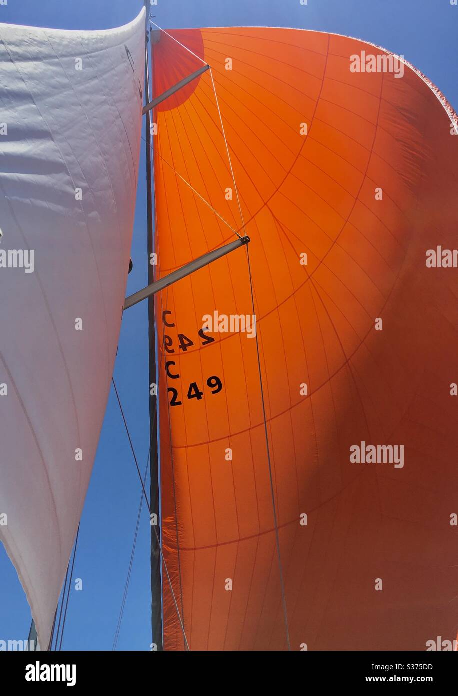 Sailing under spinnaker Stock Photo
