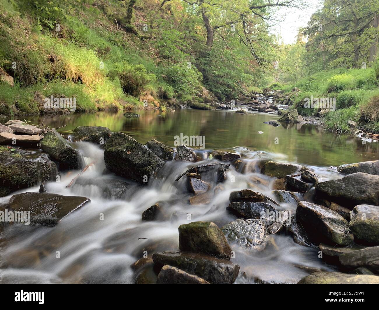 Tranquility, go with the flow - Smartphone Captured Stock Image