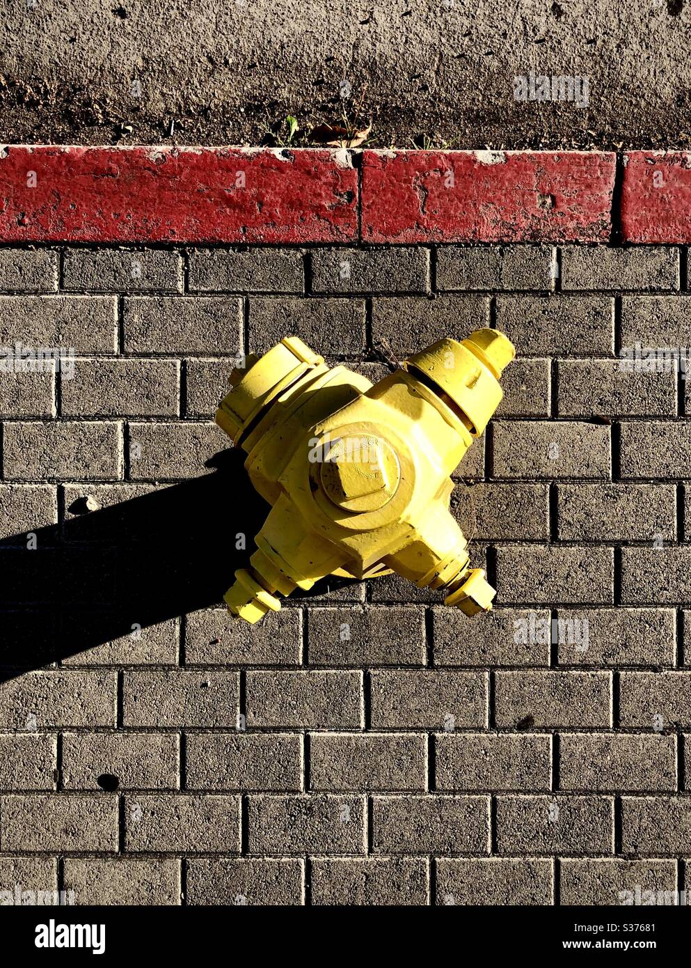 Freshly painted fire hydrant glows in the setting sun in Los Angeles CA 6.13.2020 Stock Photo