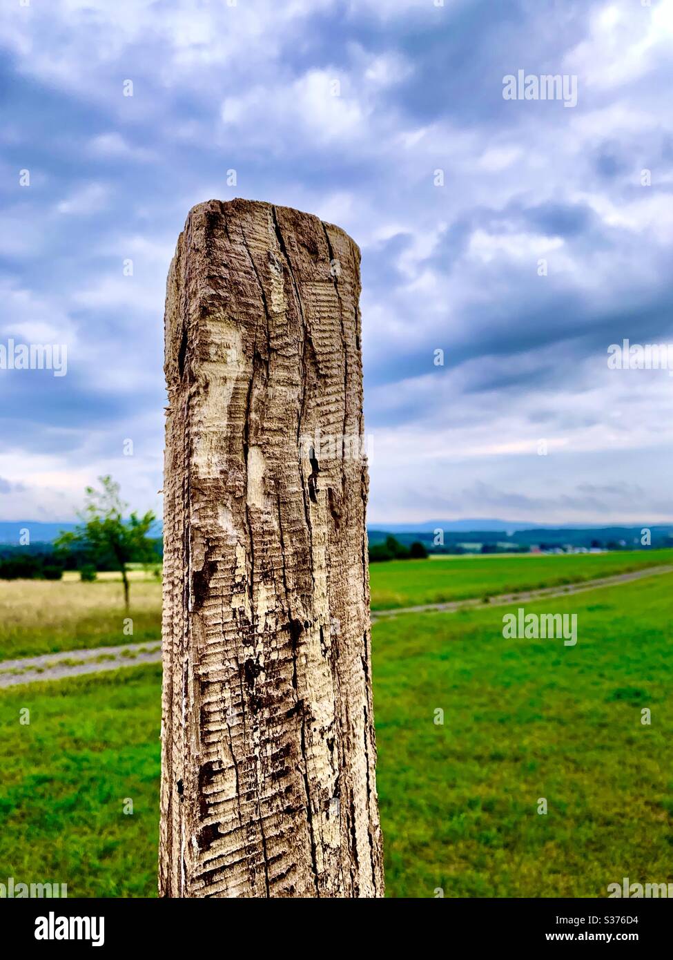 I stand alone Stock Photo Alamy