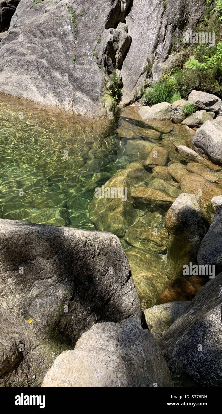 Free nature hi-res stock photography and images - Alamy