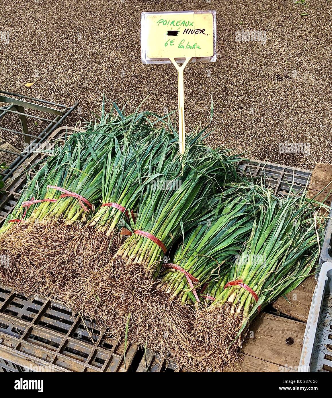 Bunches of Leeks for sale on French market stall. Stock Photo
