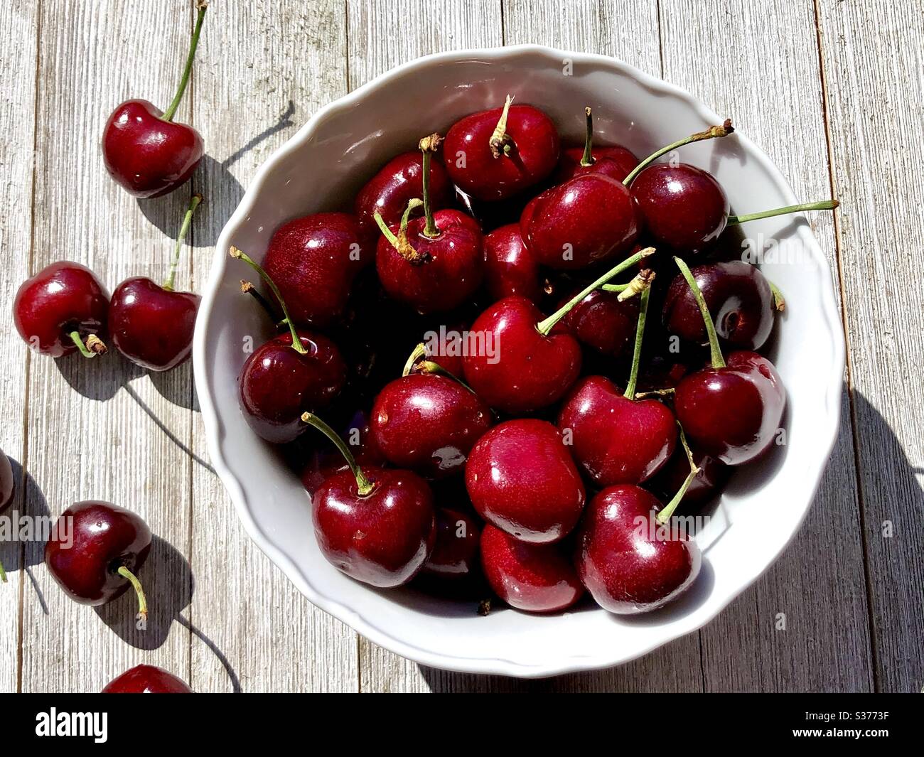 Sweet cherries in a white bowl - Smartphone Captured Stock Image