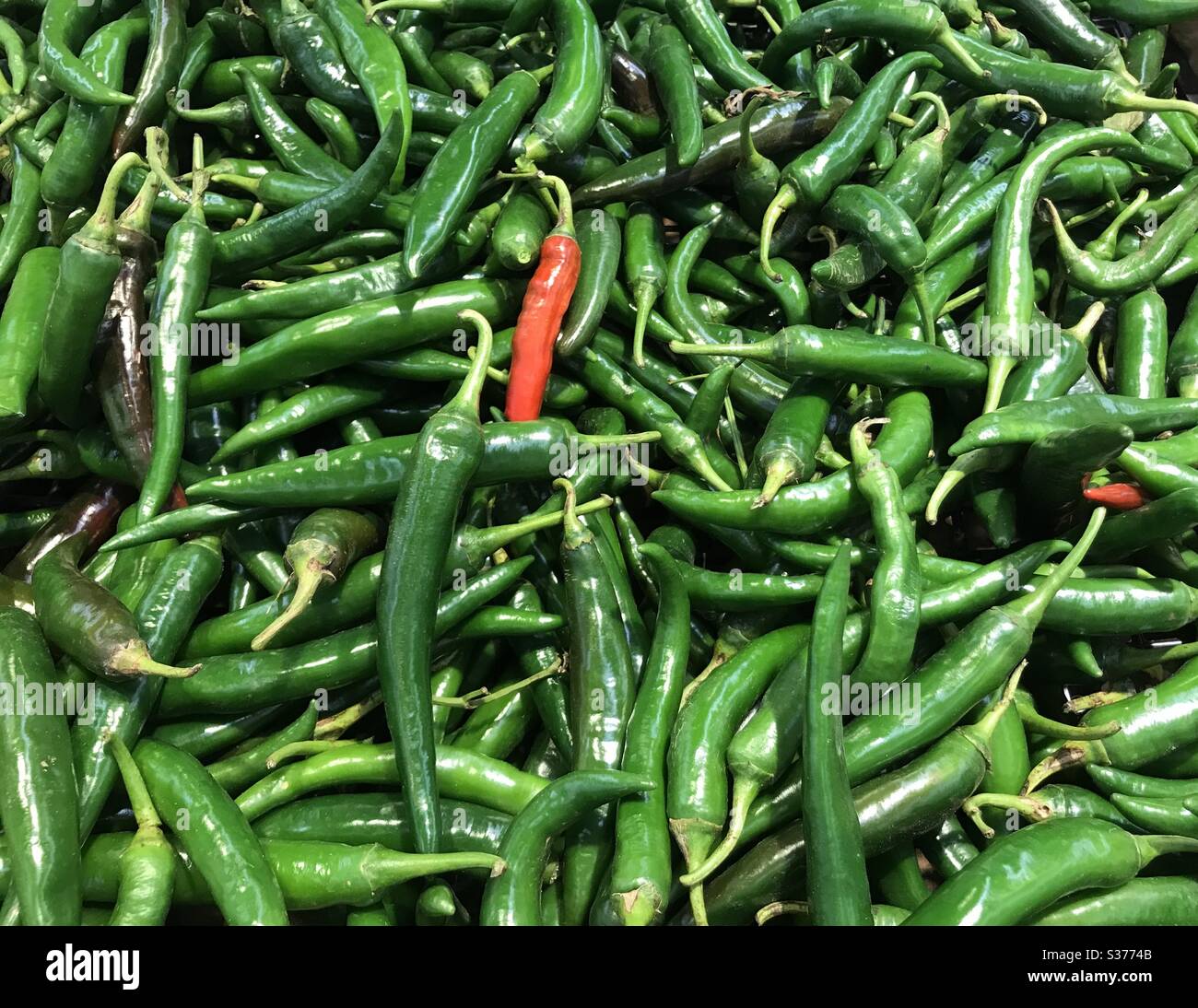 chili peppers at a street market - Smartphone Captured Stock Image