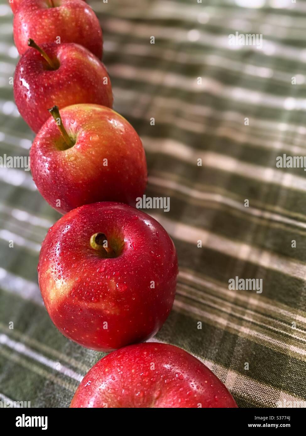 Line up of fresh gala apples on green plaid towel - Smartphone Captured Stock Image