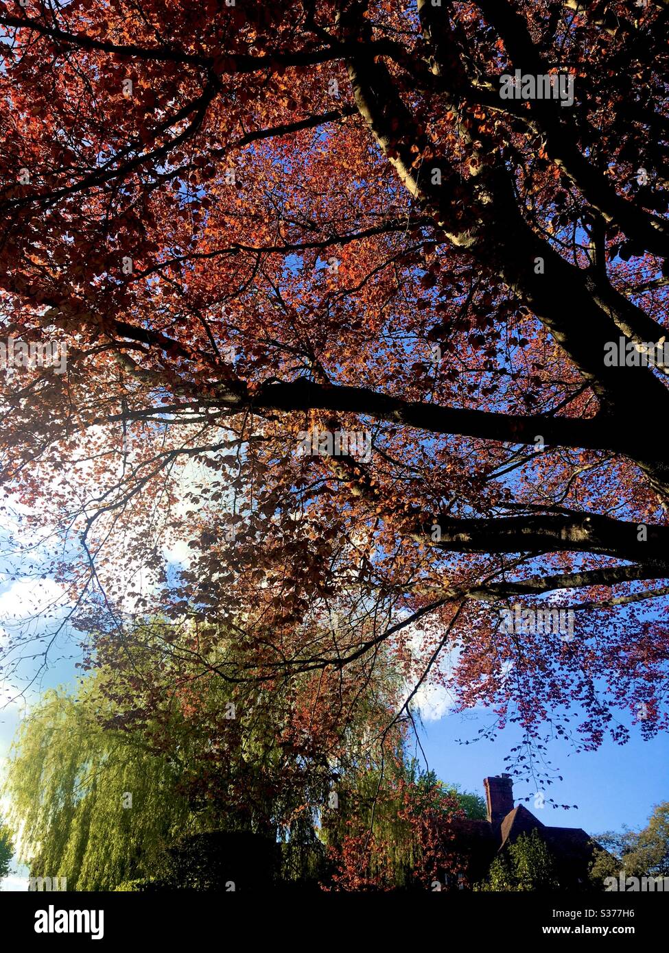 Colours of nature hi-res stock photography and images - Alamy