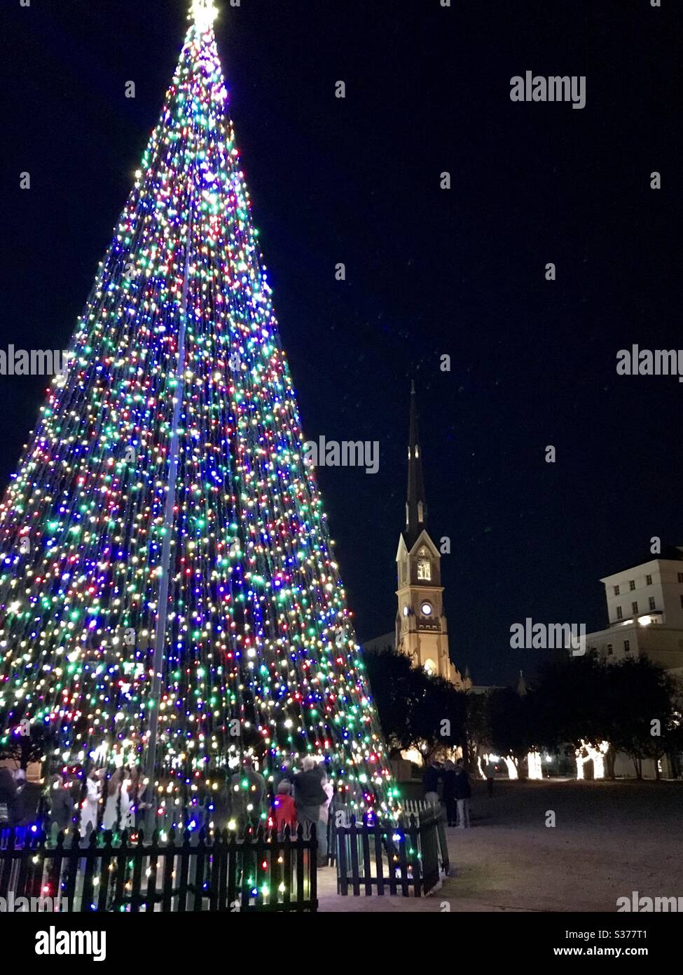 Holiday tree in the city square - Charleston SC Stock Photo