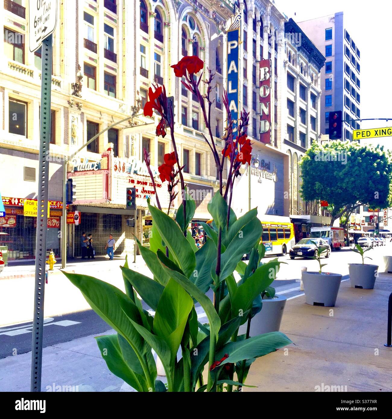 Downtown planter hires stock photography and images Alamy