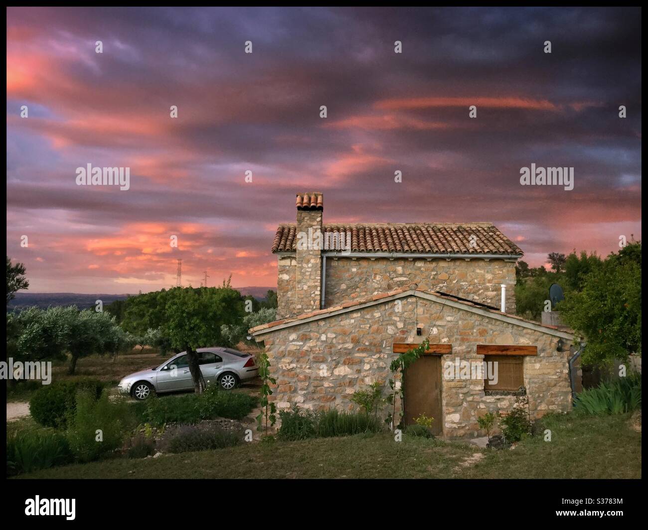 Sunset over an olive farm, Catalonia, Spain. - Smartphone Captured Stock Image