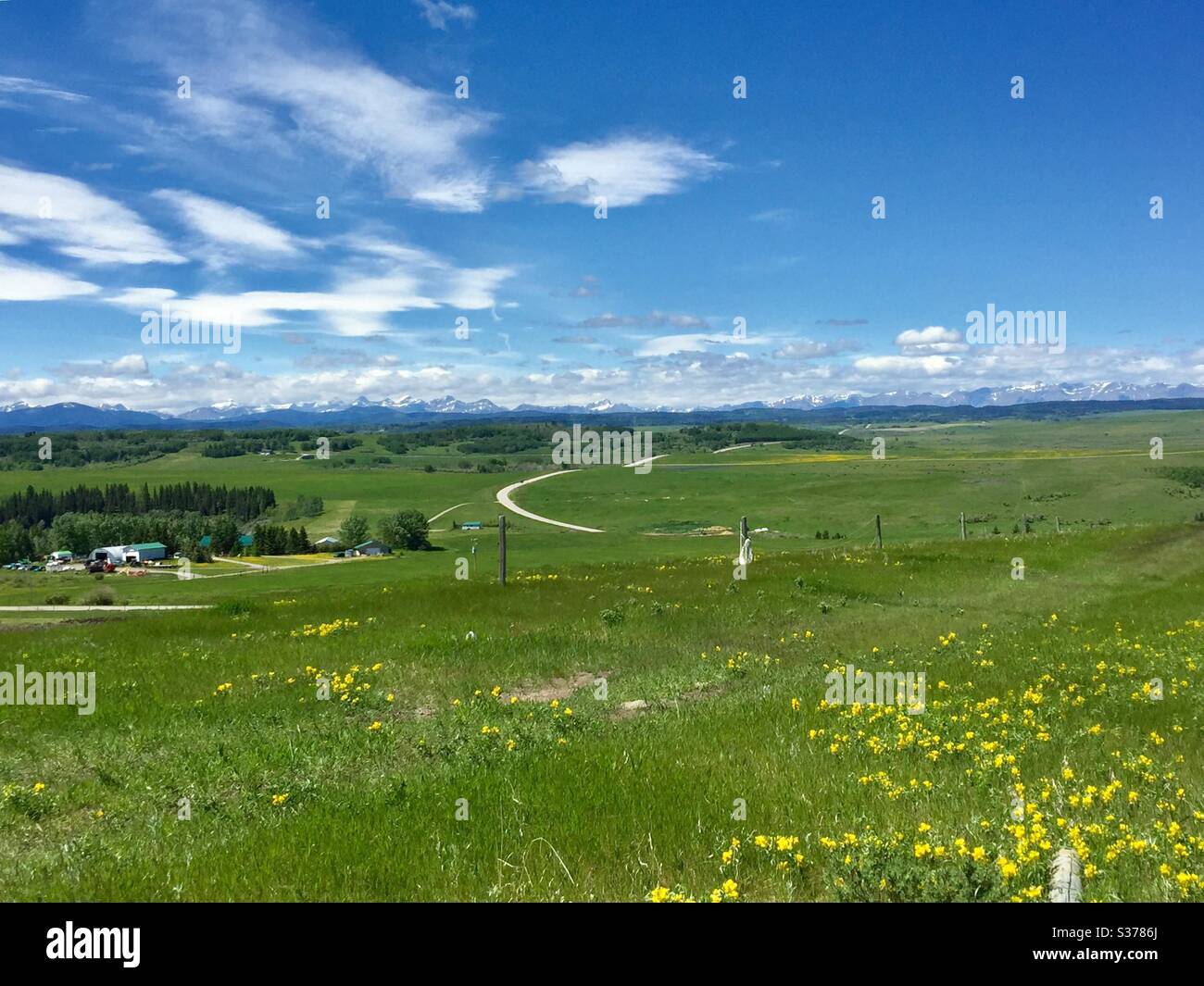 Visit Alberta, travel Alberta, Canadian Rocky Mountains, and foothills ,landscape, farm buildings, Buffalo beans - Smartphone Captured Stock Image