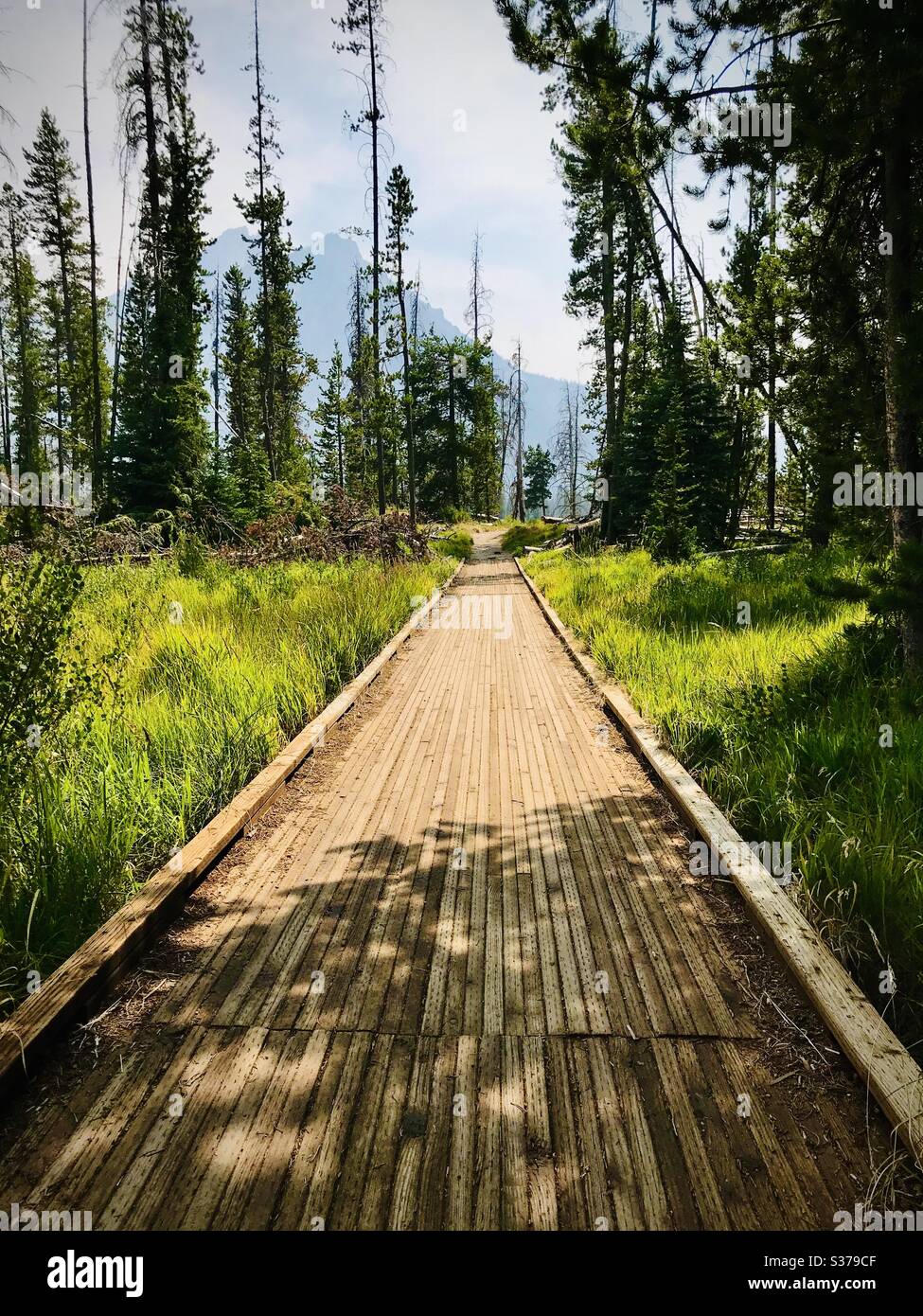 A wooden walkway path in the mountains. Stock Photo