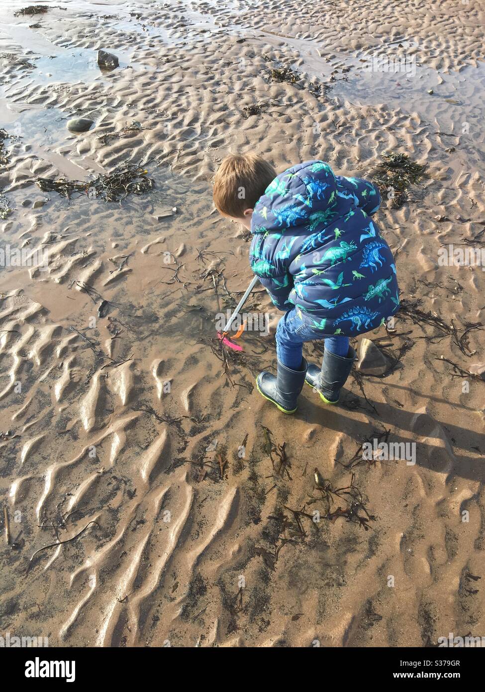 Boy picking up plastic litter pollution on westward Ho beach Stock Photo