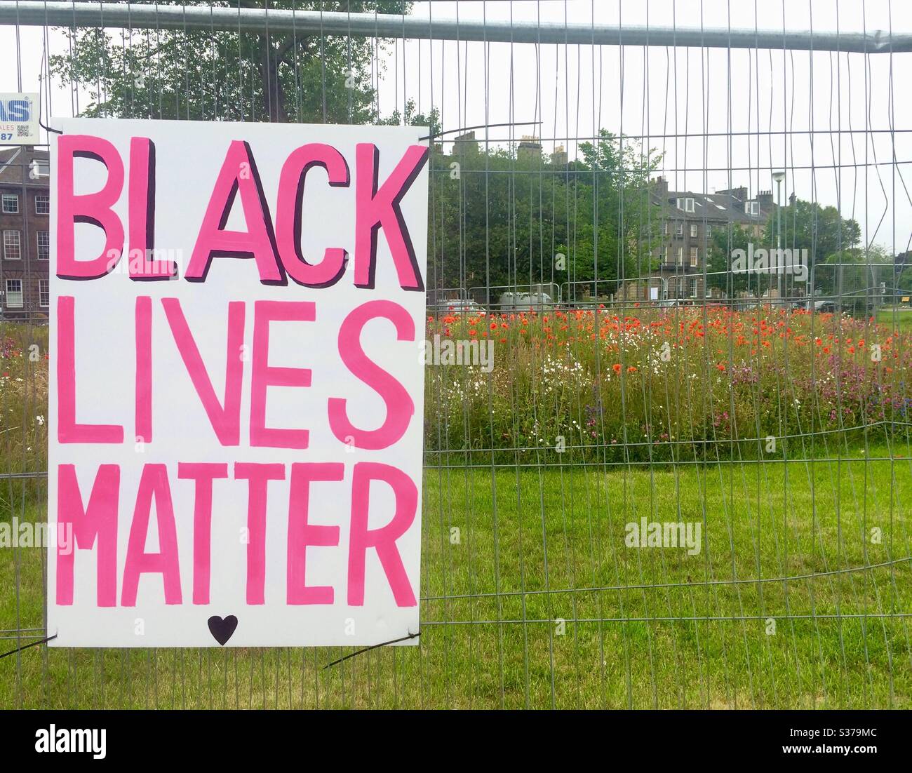 Black lives matter sign in park Stock Photo