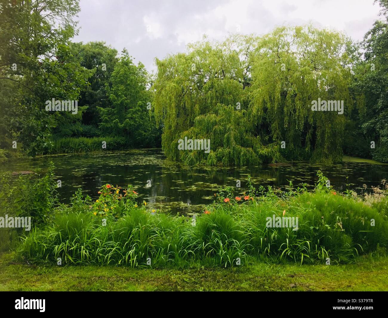 Sydenham wells park - Smartphone Captured Stock Image