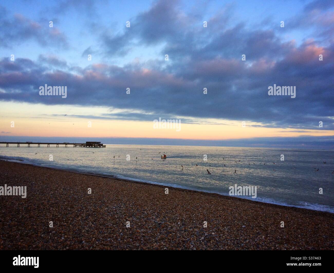 Seagulls flying round a small fishing boat off the beach at Deal, Kent, UK - Smartphone Captured Stock Image