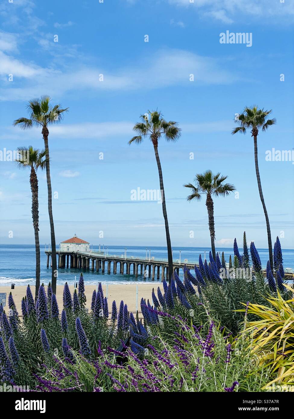The Manhattan Beach pier. Manhattan Beach, California USA. - Smartphone Captured Stock Image