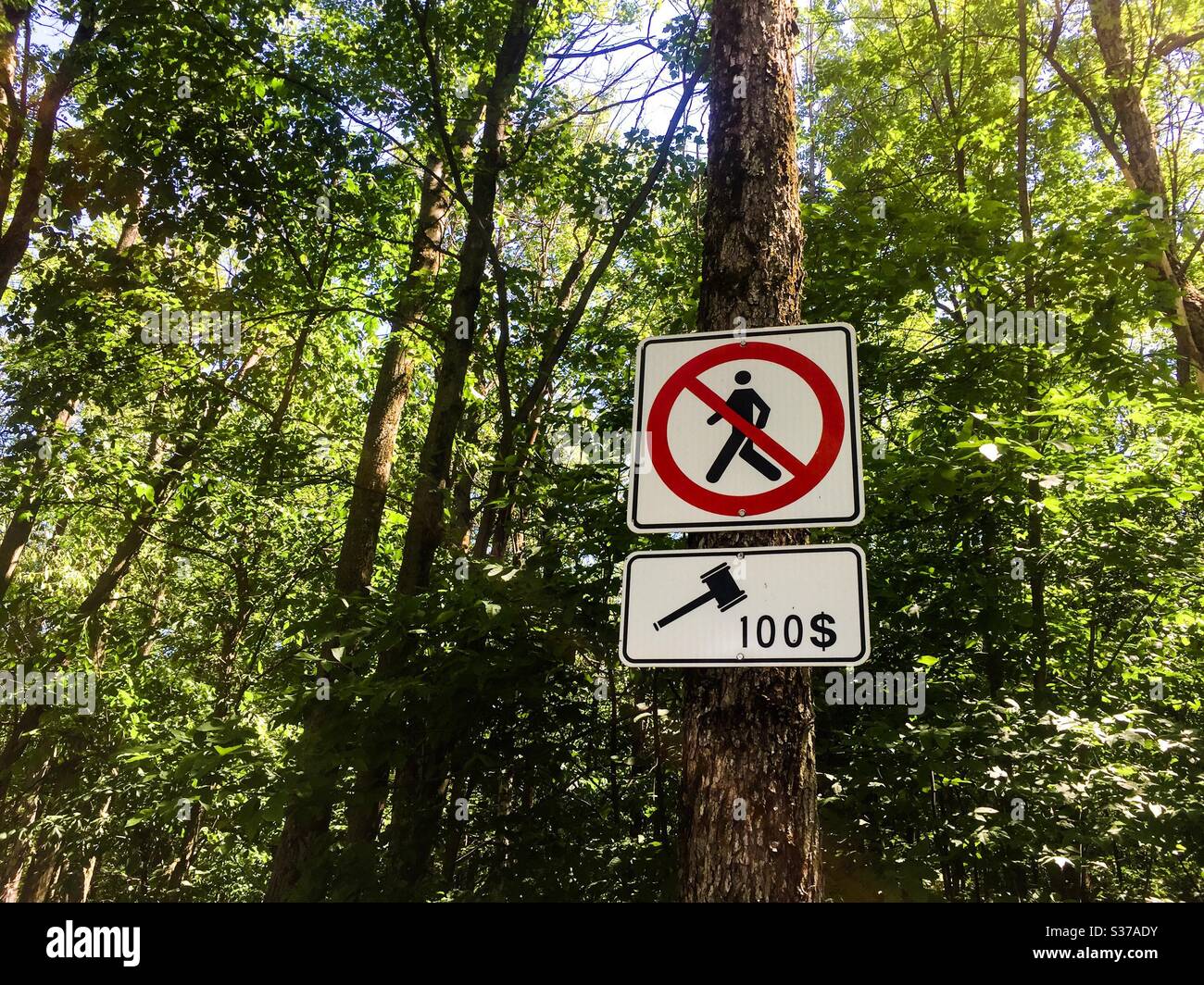 $100 fine for walking in a natural revival area, Canada - Smartphone Captured Stock Image