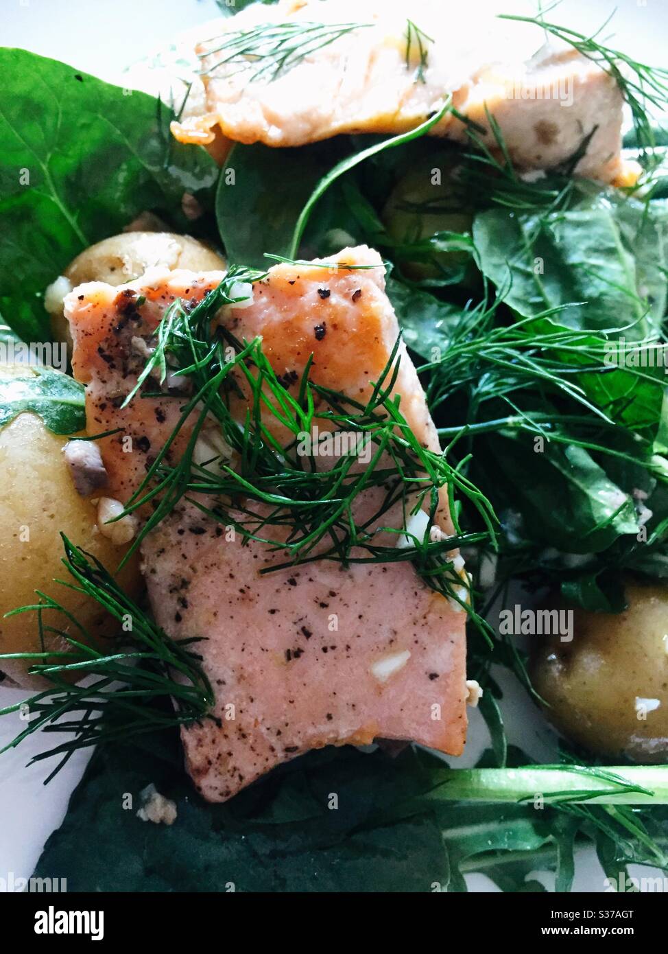 Close up of a gourmet seared salmon dish with dill ,arugula and new potatoes - Smartphone Captured Stock Image
