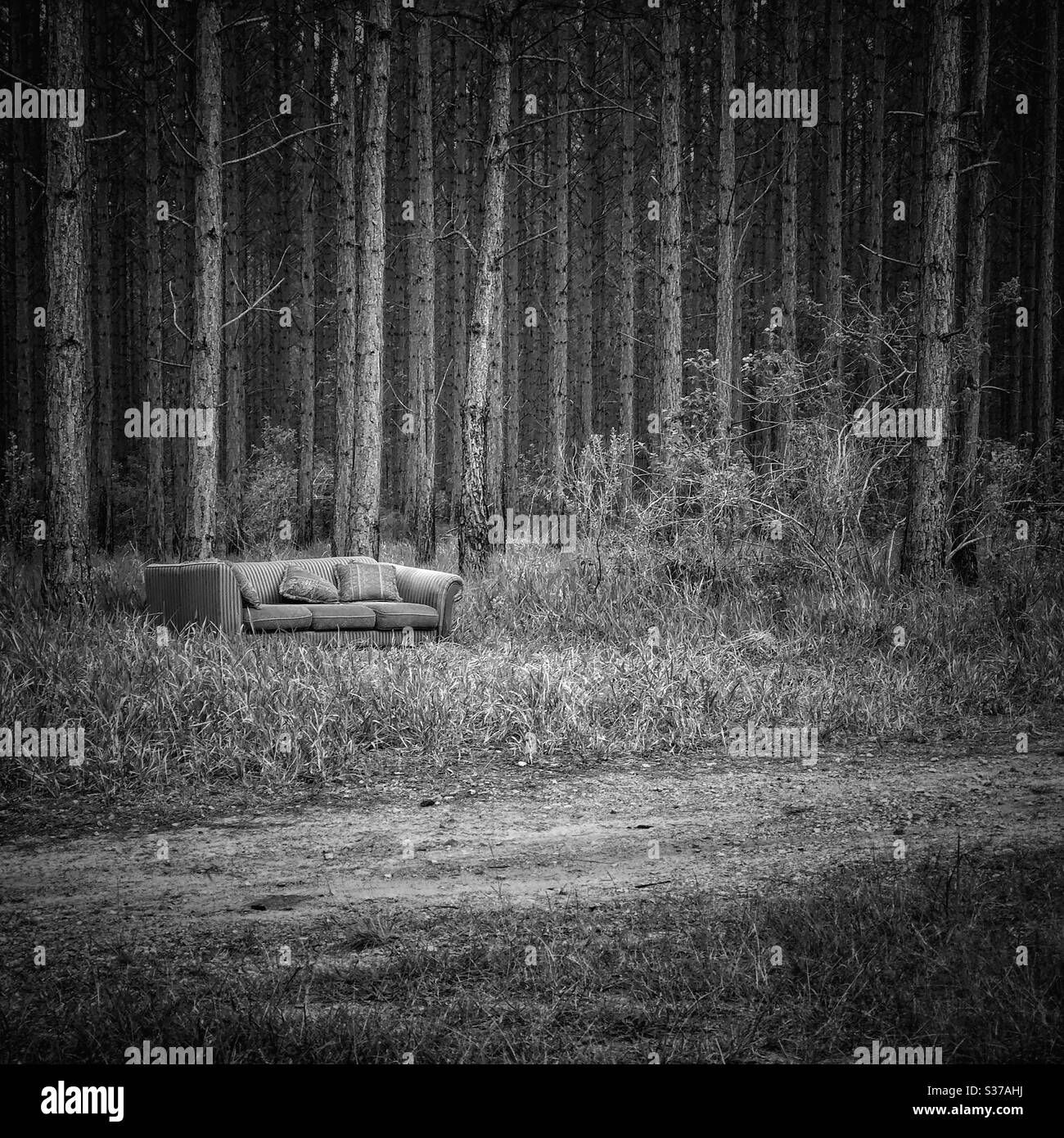 Mystery in woods abandoned - Smartphone Captured Stock Image
