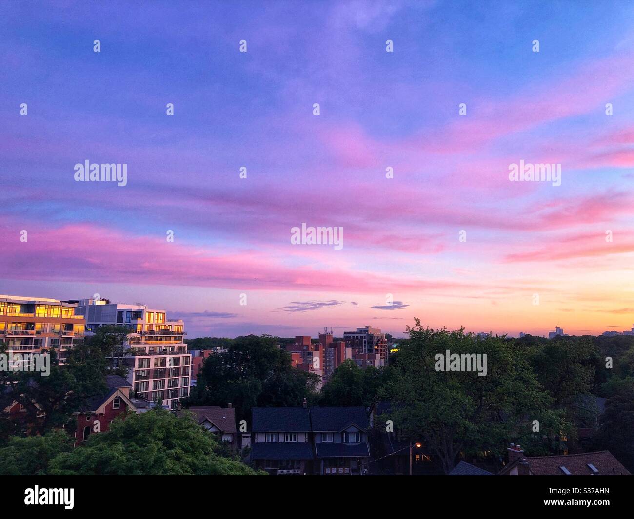 Beautiful night sky. Stock Photo