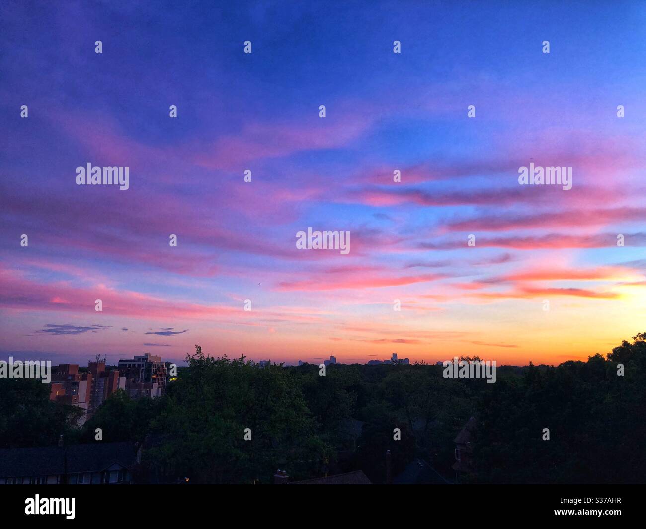 Beautiful night sky. Stock Photo