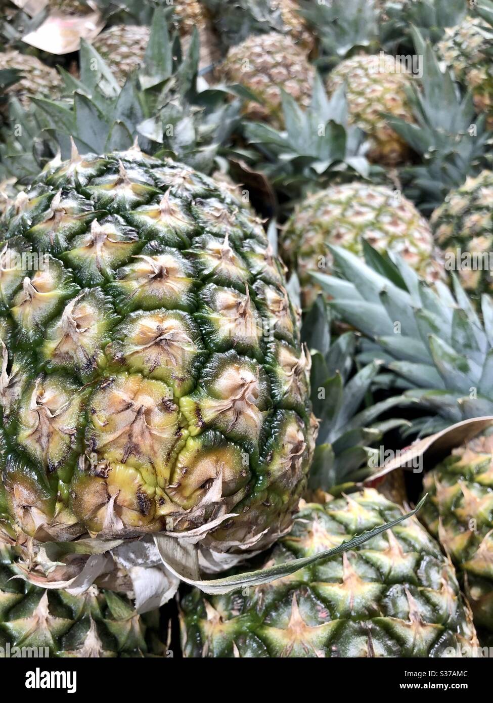 Up close and pineapple. Display of pineapples in a grocery store in Los
