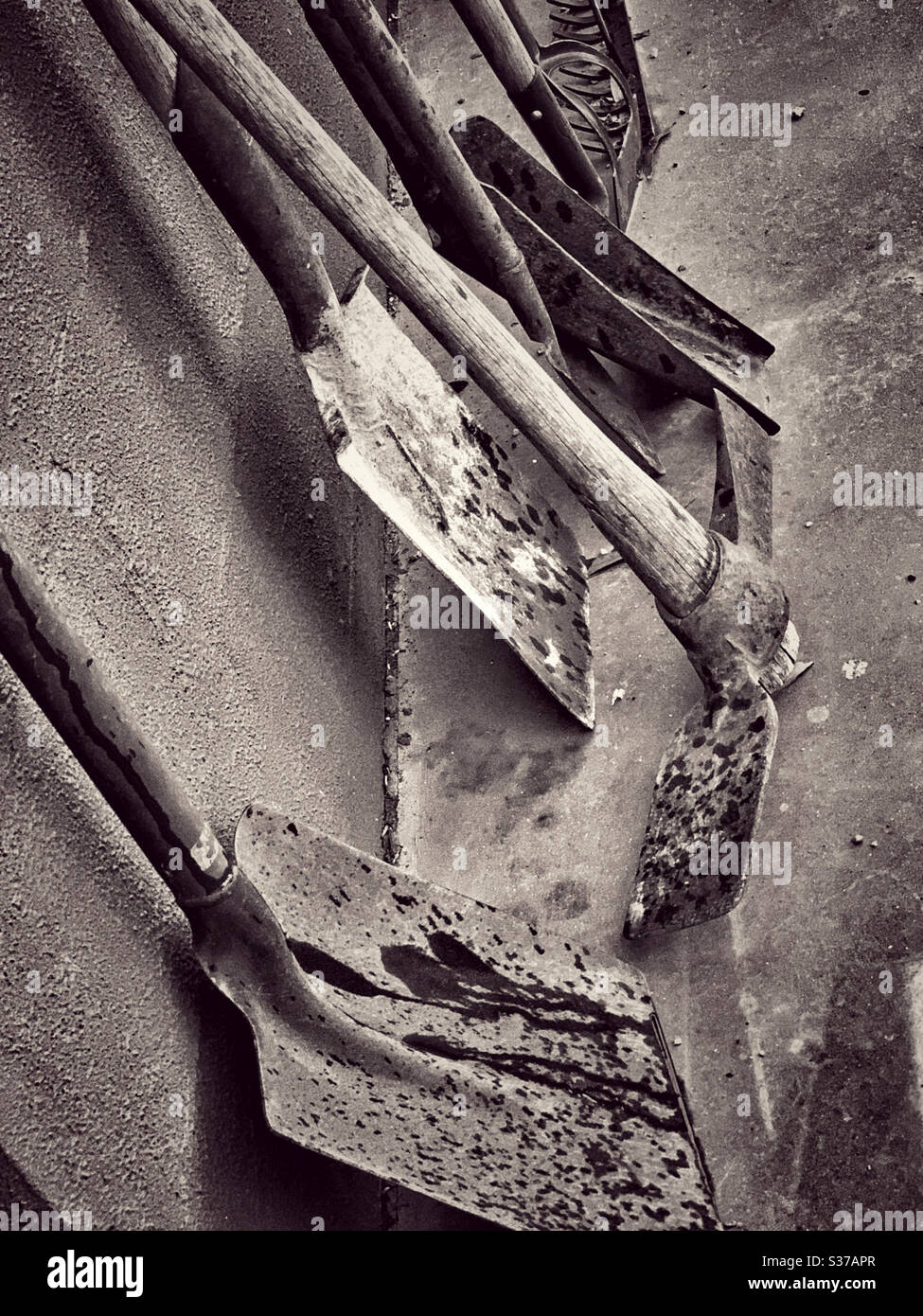 Garden tools waiting for work - Smartphone Captured Stock Image