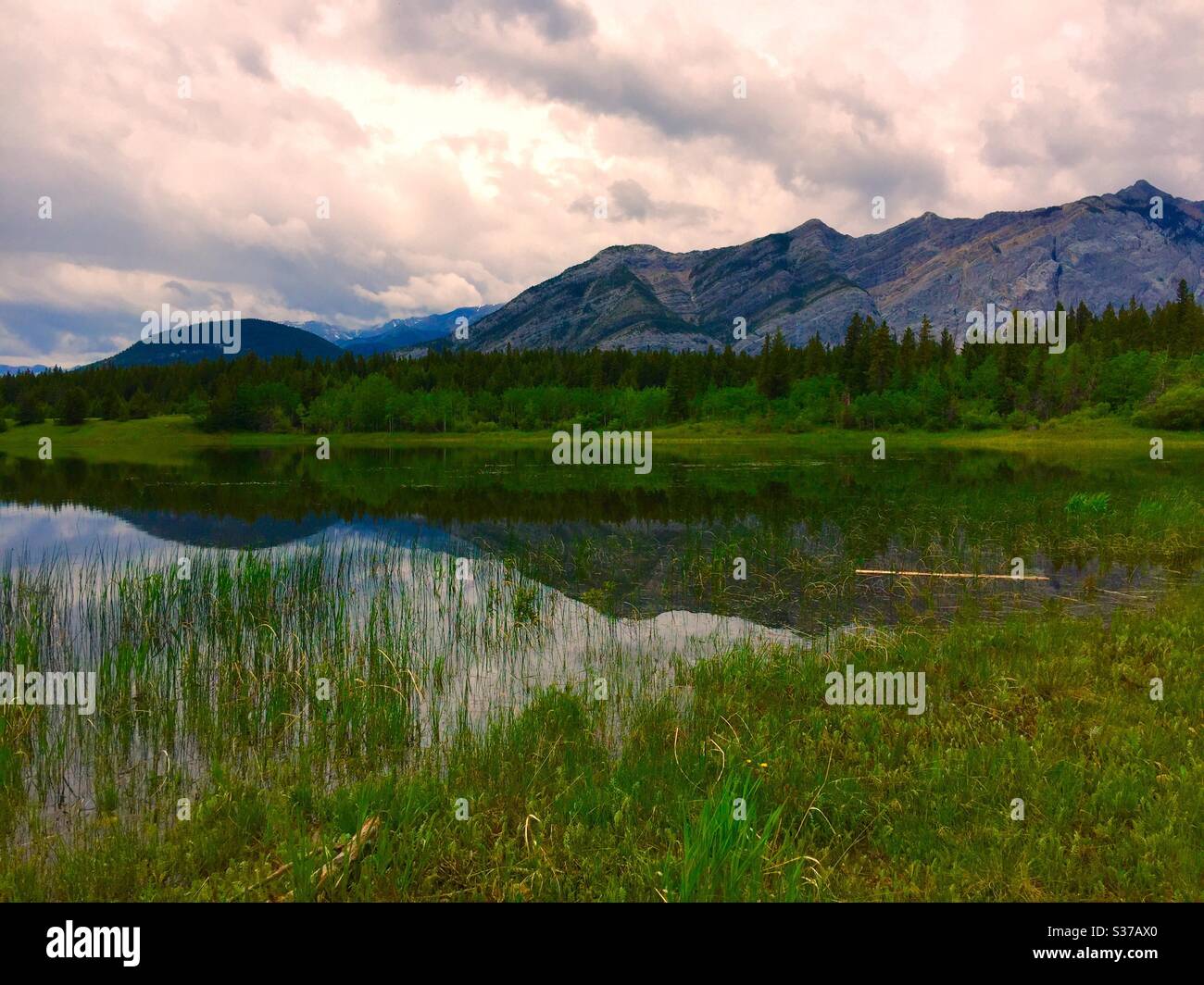 Middle Lake, Bow Valley Provincial Park, Kananaskis country, Alberta, Canada, Canadian Rockies , reflections. Mirrored, peaceful , calm, solitude, idyllic , forest, wilderness - Smartphone Captured Stock Image