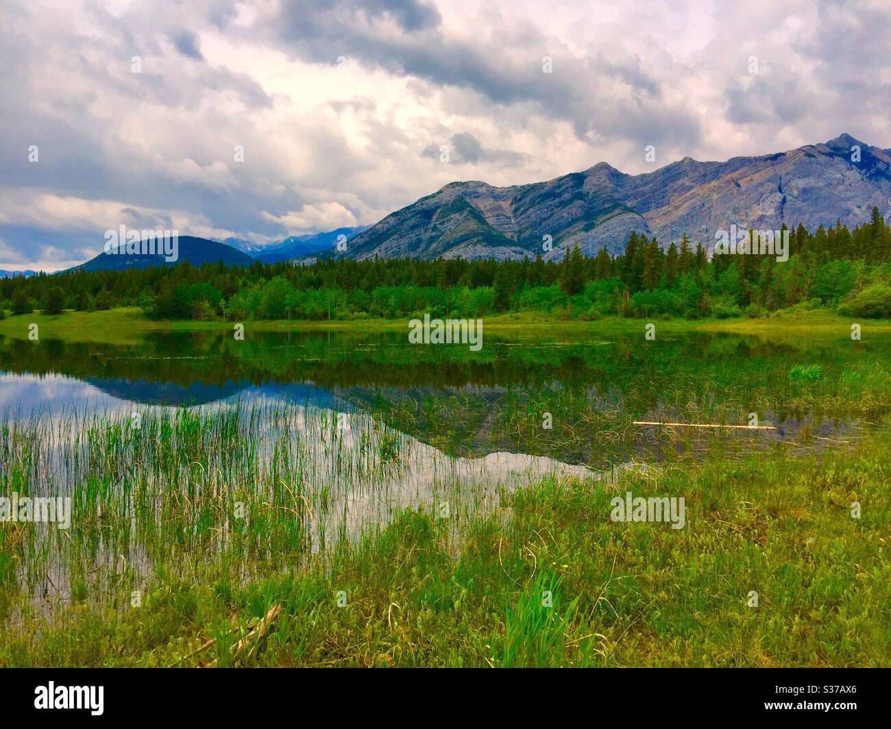 Middle Lake, Bow Valley Provincial Park, Kananaskis country, Alberta, Canada, Canadian Rockies , reflections. Mirrored, peaceful , calm, solitude, idyllic , forest, wilderness - Smartphone Captured Stock Image