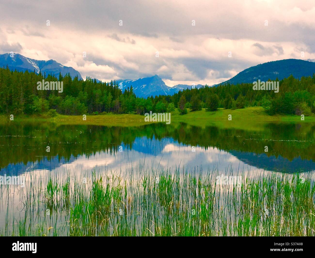 Middle Lake, Bow Valley Provincial Park, Kananaskis country, Alberta, Canada, Canadian Rockies , reflections. Mirrored, peaceful , calm, solitude, idyllic , forest, wilderness - Smartphone Captured Stock Image