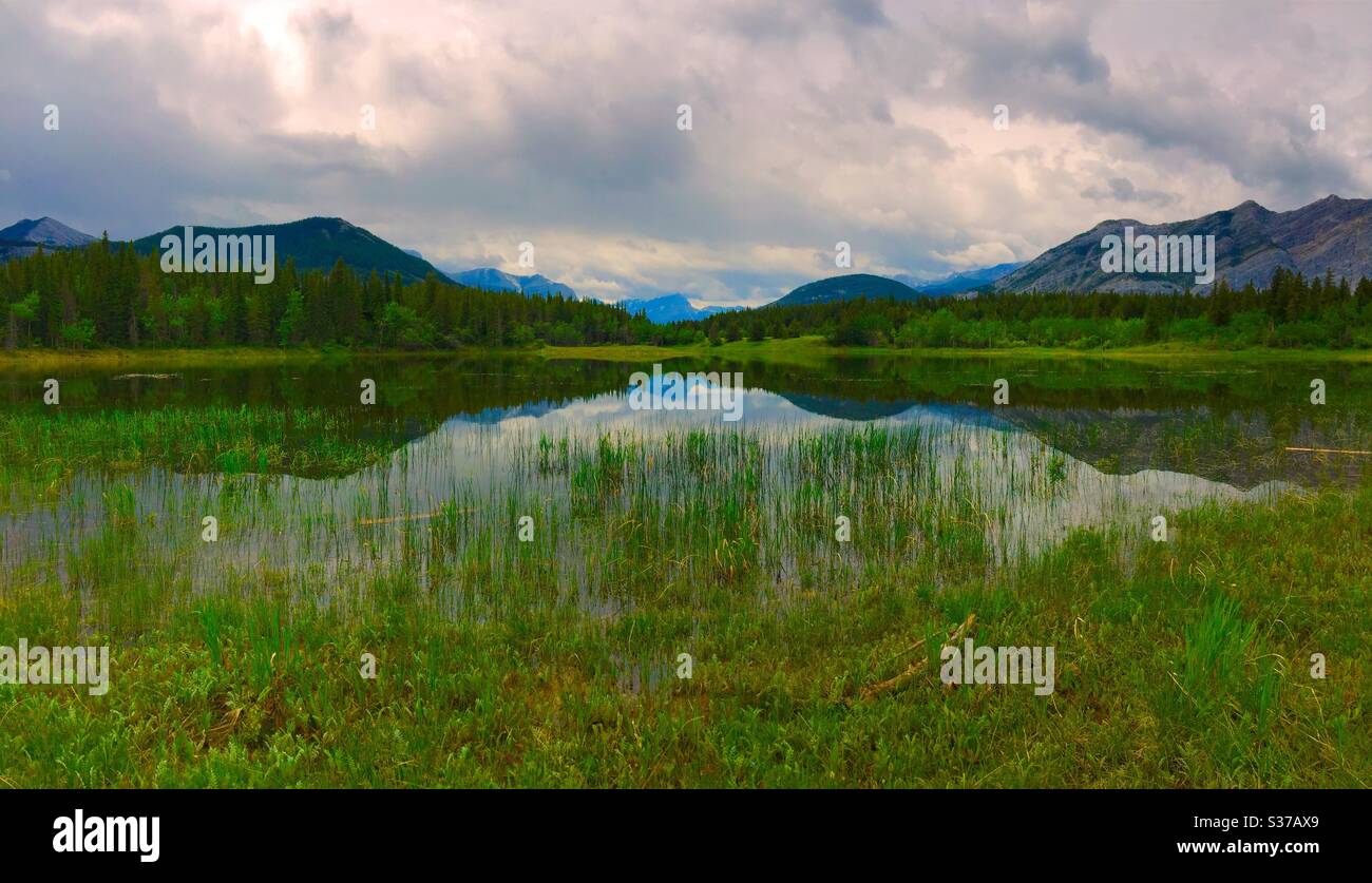 Middle Lake, Bow Valley Provincial Park, Kananaskis country, Alberta, Canada, Canadian Rockies , reflections. Mirrored, peaceful , calm, solitude, idyllic , forest, wilderness - Smartphone Captured Stock Image