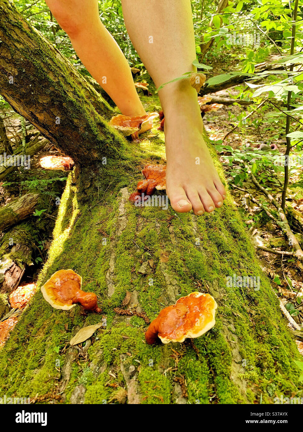 Barefoot walking forest hires stock photography and images Alamy