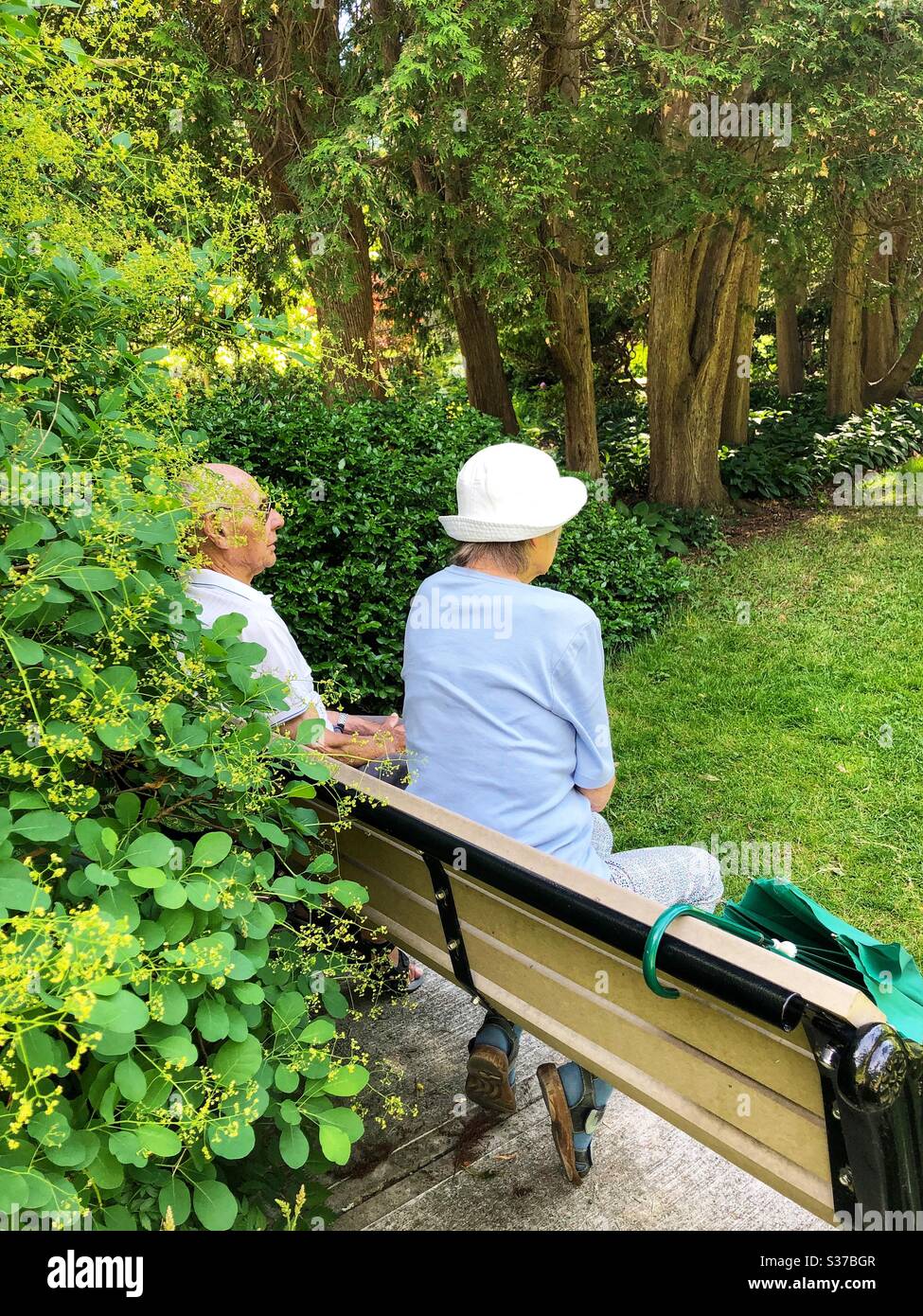 An elderly couple sitting on a park bench. - Smartphone Captured Stock Image