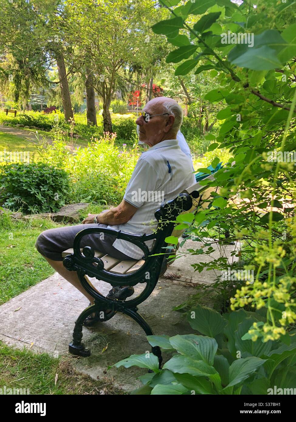 Side profile of an elderly man sitting on a park bench. - Smartphone Captured Stock Image