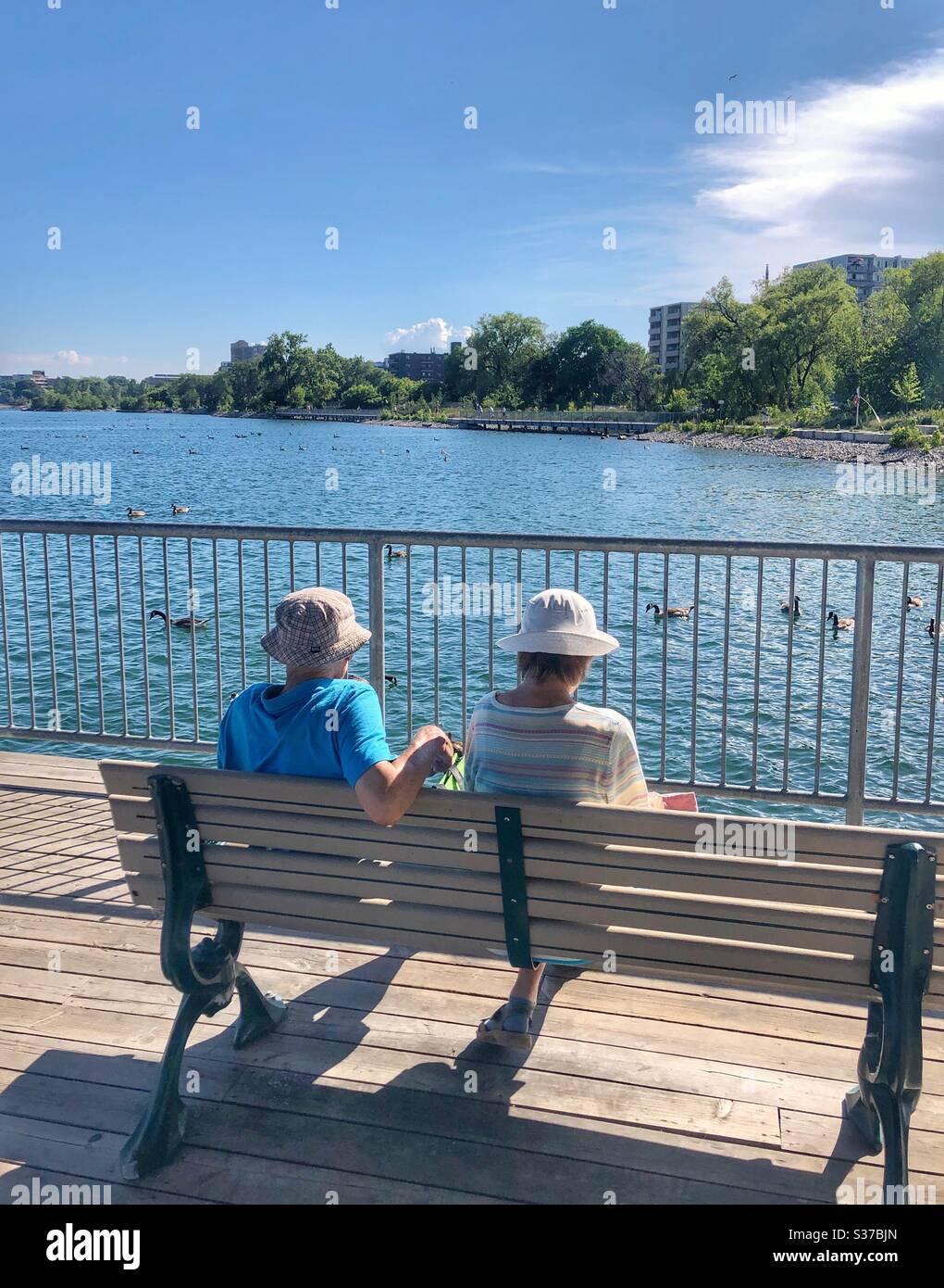An elderly couple sitting on a bench enjoying the waterfront view. - Smartphone Captured Stock Image
