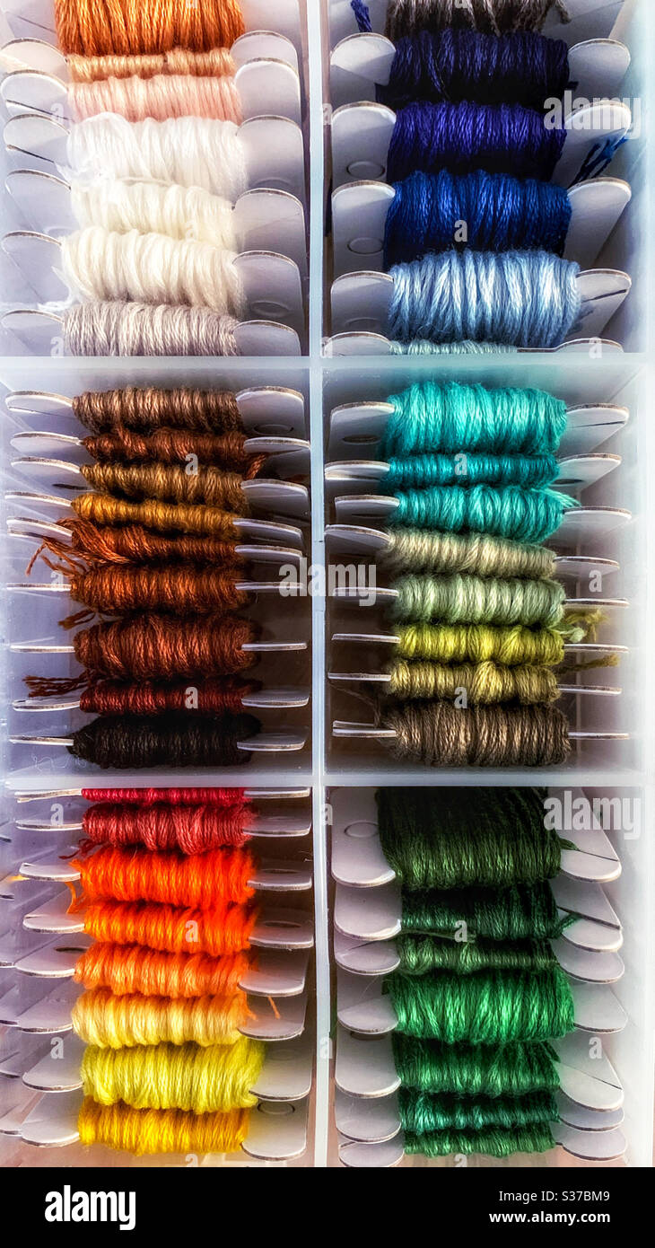 Many coloured shades of embroidery threads wound around cardboard spools organised into colour categories Stock Photo