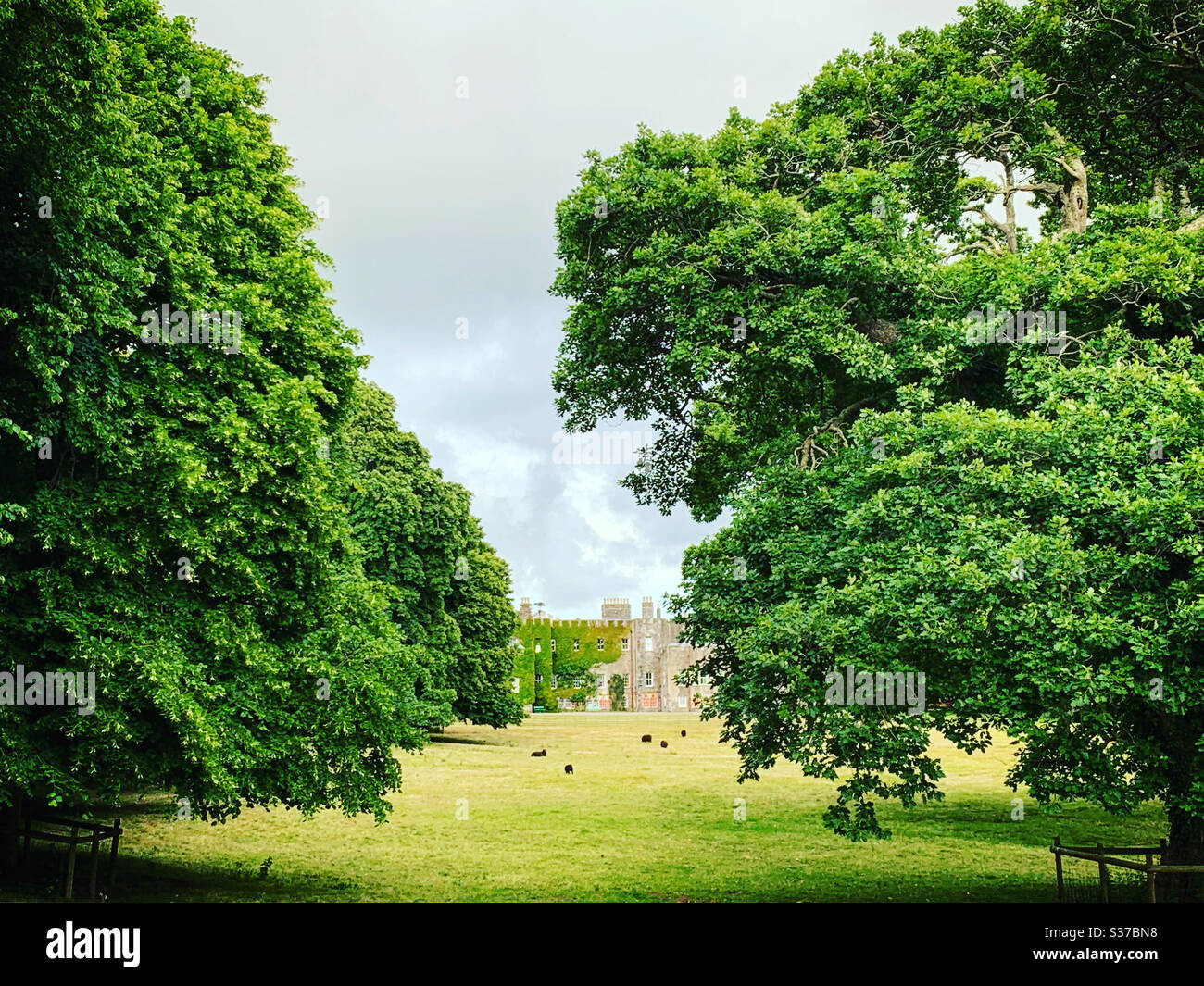 Hartland Abbey in north Devon as seen on BBC. Stock Photo
