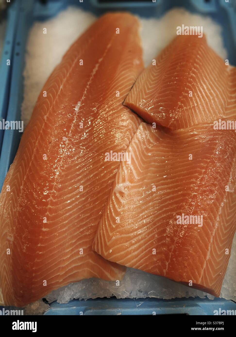 Salmon fillets for sale Stock Photo Alamy