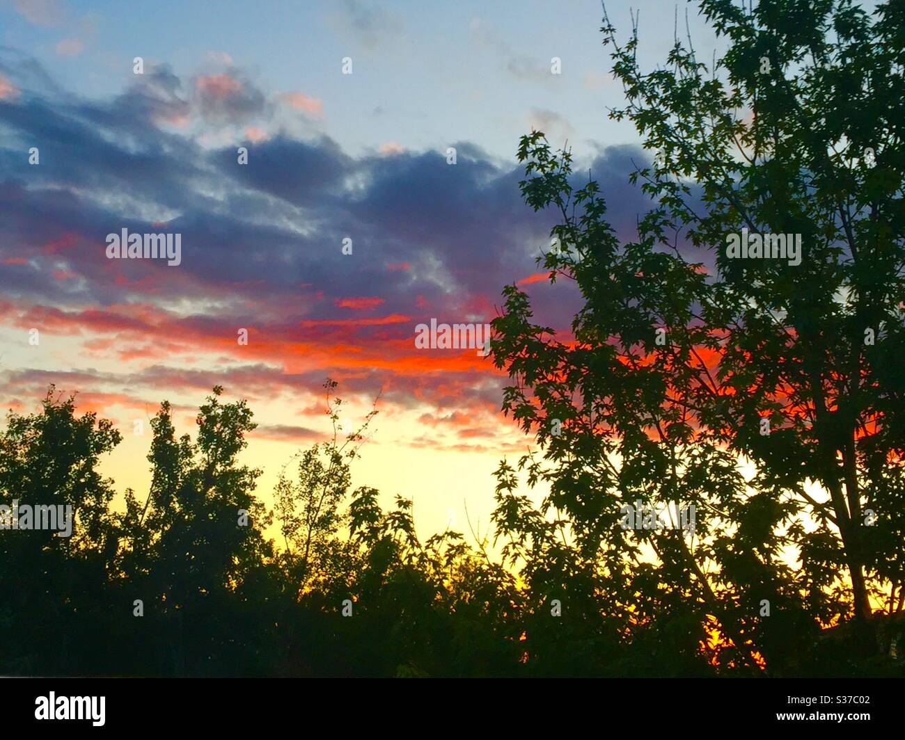Sunrises, Calgary,Alberta , 5:03 AM Stock Photo