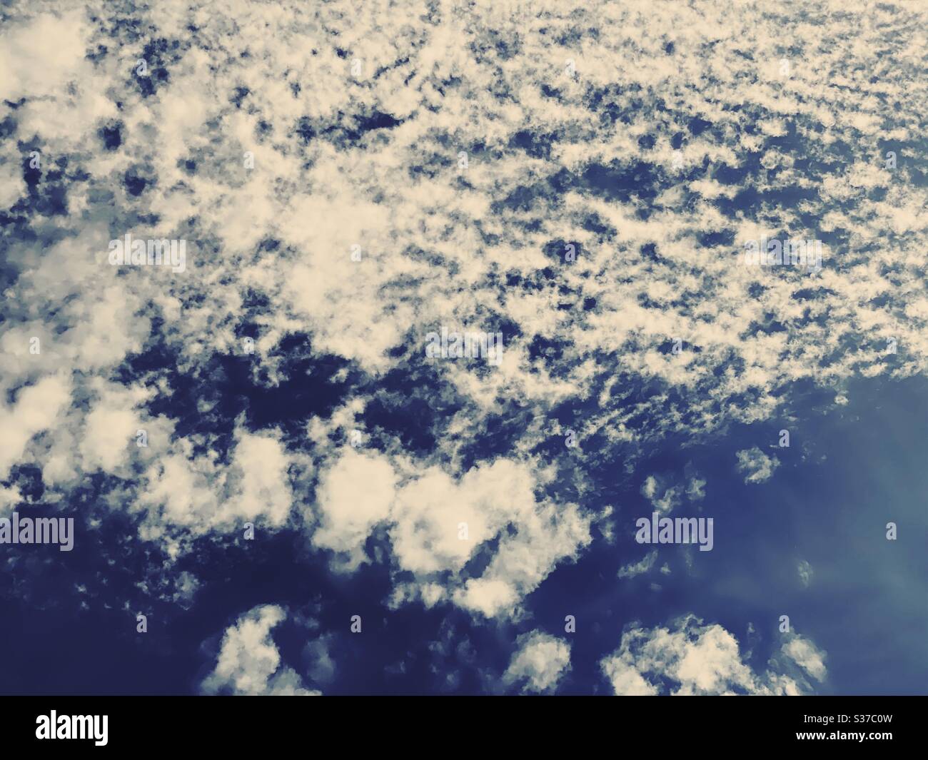 Abstract summer sky scene. White fluffy clouds are seen against a summery blue background during midday sunshine. Summertime skyscape with copy space. - Smartphone Captured Stock Image