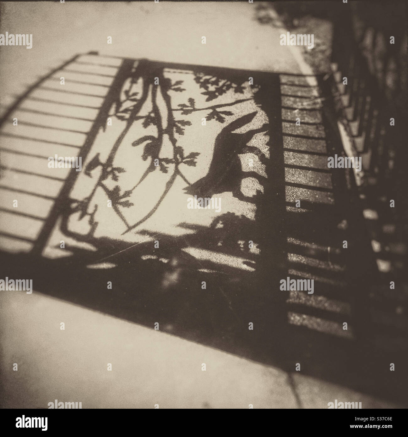 Shadow of the gate to Cherry Tree Woods in East Finchley, North London. - Smartphone Captured Stock Image