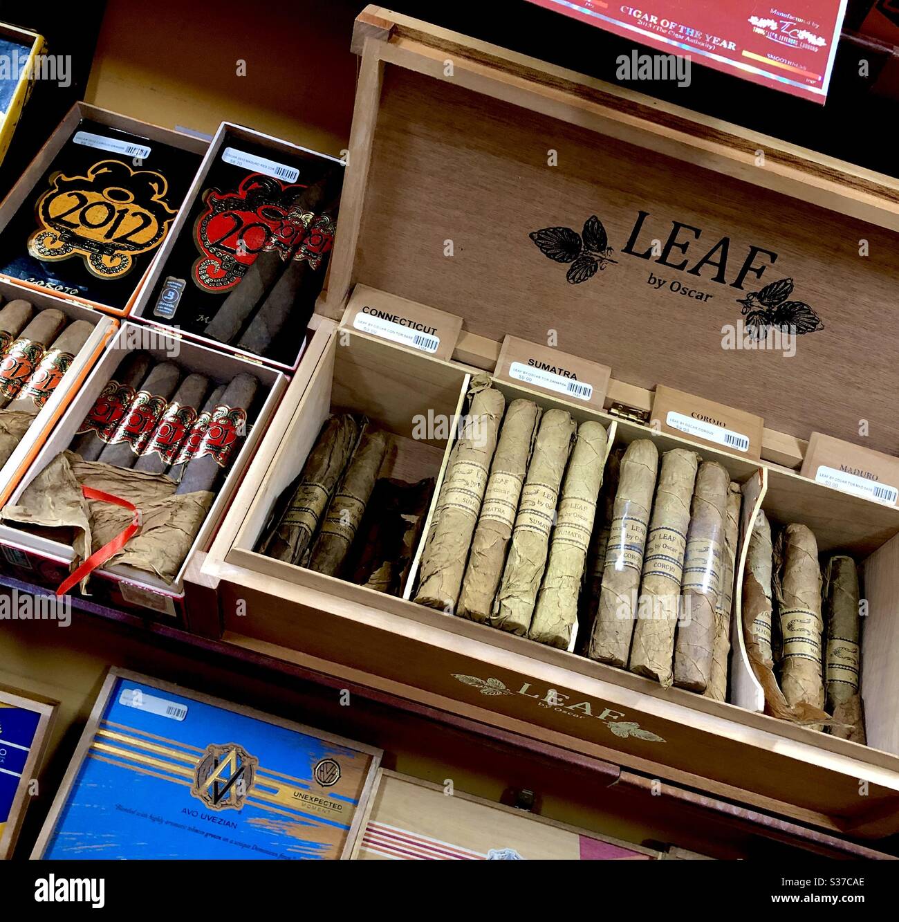 Interior display inside a cigar shop humidor featuring cigars by Oscar  Valladares Stock Photo - Alamy
